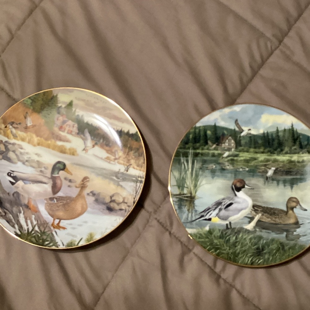 Knowles Nature Scene Duck Plates - Green and Brown
